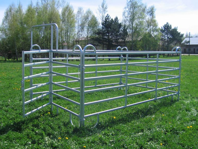 Cattle panel frames
